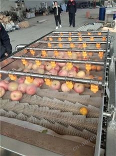 山东橙子清洗机 厂家 水果蔬菜清洗设备
